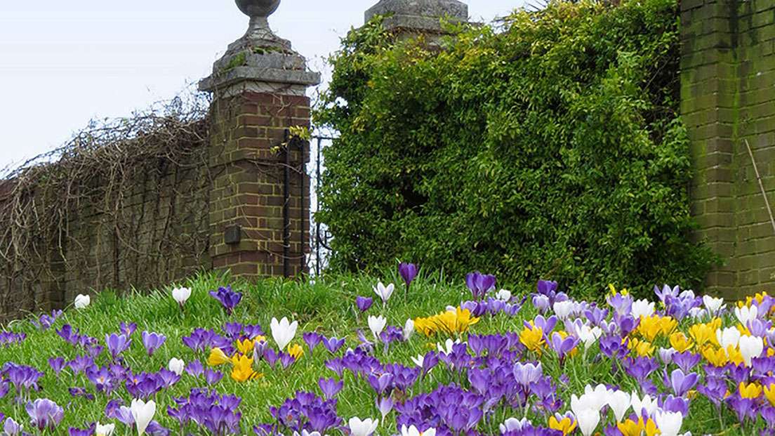 RHS Garden Wisley